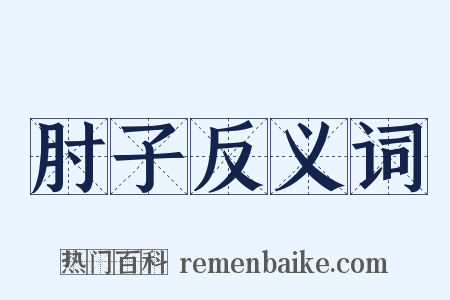 肘子反义词是什么意思的图片